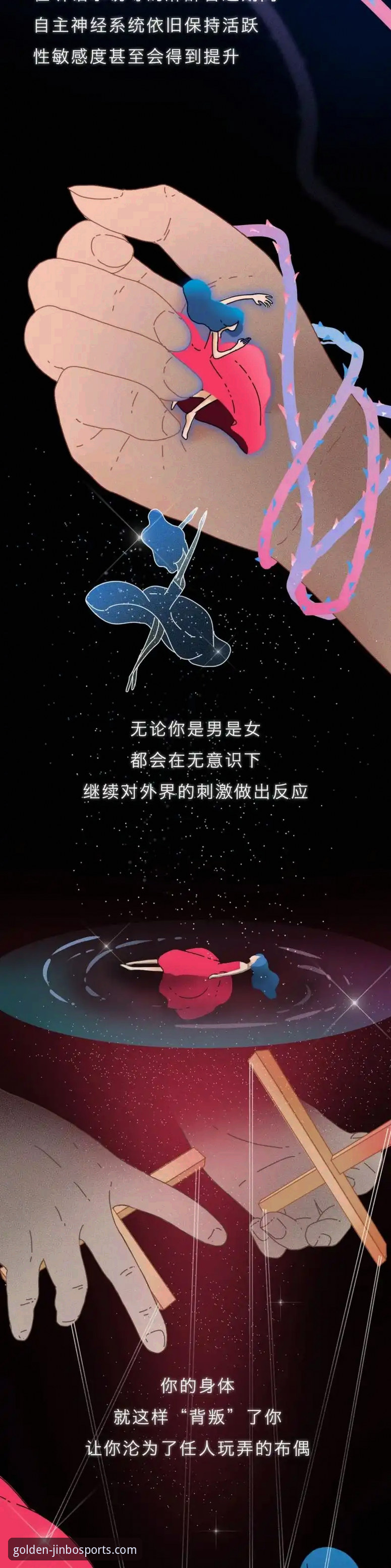 揭秘金博体育最新版本更新背后的真相：新手必看的功能与体验指南