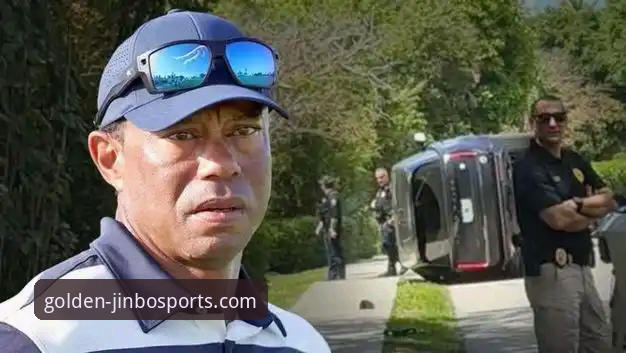 伍兹药物驾车事件深度解析